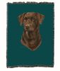 Labrador Retriever 2 - Chocolate - Cotton Woven Throw