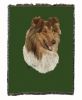 Collie - Rough 2 - Cotton Woven Throw
