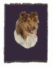 Collie - Rough 2 - Cotton Woven Throw