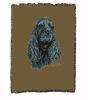 Cocker Spaniel - Black - Cotton Woven Throw