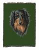 Dachshund - Longhaired - Black and Tan - Cotton Woven Throw