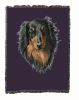 Dachshund - Longhaired - Black and Tan - Cotton Woven Throw