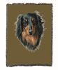 Dachshund - Longhaired - Black and Tan - Cotton Woven Throw