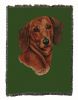 Dachshund - Red - Cotton Woven Throw