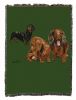 Dachshund Puppies Cotton Woven Throw
