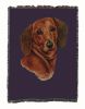 Dachshund - Red - Cotton Woven Throw