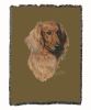 Dachshund - Longhair - Red - Cotton Woven Throw