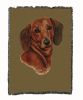 Dachshund - Red - Cotton Woven Throw