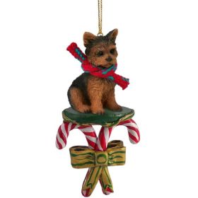 Yorkshire Terrier - Puppy Cut - Candy Cane Ornament