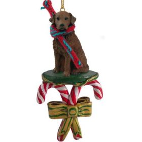 Chesapeake Bay Retriever - Candy Cane Ornament