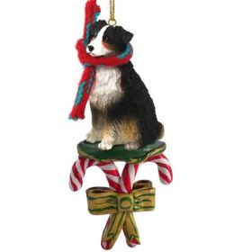 Australian Shepherd - Tri-Color - Docked - Candy Cane Ornament