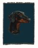 Doberman 2 Cotton Woven Throw
