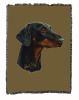 Doberman 2 Cotton Woven Throw