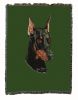 Doberman Cotton Woven Throw