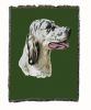 English Setter 2 Cotton Woven Throw