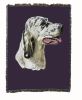 English Setter 2 Cotton Woven Throw