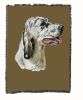 English Setter 2 Cotton Woven Throw