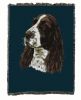 English Springer Spaniel 1 Cotton Woven Throw