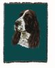 English Springer Spaniel 1 Cotton Woven Throw