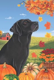 Labrador Retriever - Black - Best of Breed Autumn Leaves Garden Flag