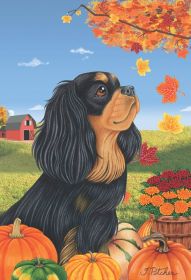 Cavalier King Charles Spaniel - Black and Tan - Best of Breed Autumn Leaves Garden Flag