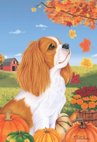 Cavalier King Charles Spaniel - Blenheim - Best of Breed Autumn Leaves Garden Flag