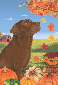 Labrador Retriever - Chocolate - Best of Breed Autumn Leaves Garden Flag
