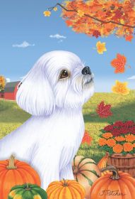Maltese - Best of Breed Autumn Leaves Garden Flag