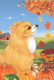 Pomeranian - Red - Best of Breed Autumn Leaves Garden Flag