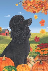 Poodle - Black - Best of Breed Autumn Leaves Garden Flag