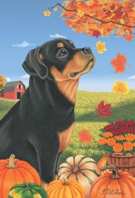 Rottweiler - Best of Breed Autumn Leaves Garden Flag