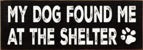 My Dog Found me at the Shelter