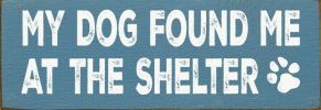 My Dog Found me at the Shelter