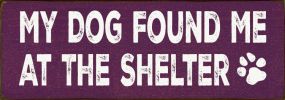 My Dog Found me at the Shelter