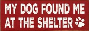 My Dog Found me at the Shelter