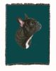 French Bulldog Cotton Woven Throw