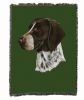 German Shorthaired Pointer 1 Cotton Woven Throw
