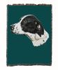 German Shorthaired Pointer 2 Cotton Woven Pointer