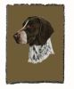 German Shorthaired Pointer 1 Cotton Woven Throw