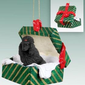 Poodle - Black - Green Gift Box Ornament
