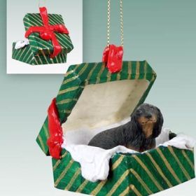 Dachshund - Longhair - Black - Green Gift Box Ornament