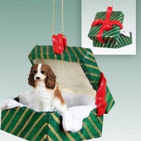 Cavalier King Charles Spaniel - Brown and White - Green Gift Box Ornament
