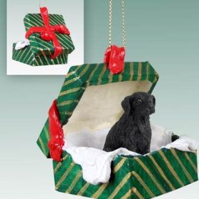 Flat Coated Retriever Green Gift Box Ornament