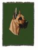 Great Dane Cotton Woven Throw