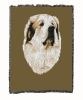 Great Pyrenees Cotton Woven Throw