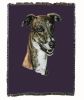 Greyhound 1 Cotton Woven Throw