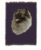 Keeshond Cotton Woven Throw