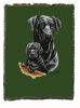 Labrador Retriever - Black - with Puppy Cotton Woven Throw