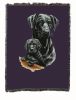 Labrador Retriever - Black - with Puppy Cotton Woven Throw