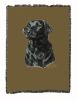 Labrador Retriever - Black - Cotton Woven Throw